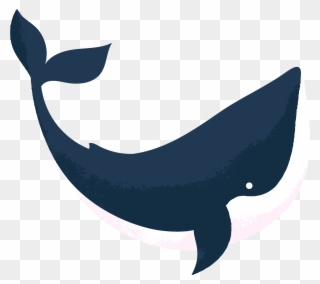 Orca Reviewed By Abbie Cheesman At Whale And Dolphin - Whales Clipart