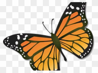 Monarch Butterfly Clipart August - Monarch Butterfly Clipart Cartoon - Png Download