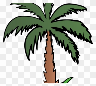 Palm Tree Clipart Terrestrial Plant - Clip Art - Png Download