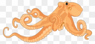 Realistic Octopus Clipart - Png Download