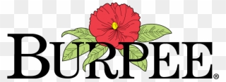 Gardeners Have Trusted Burpee's Reliability And Quality - Coco And Breezy Logo Clipart