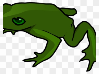Green Frog Clipart Simple - Frog Clip Art - Png Download