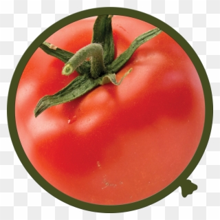 Walloon Tomato - Fruit And Vegetable Photo-wall Decals Clipart