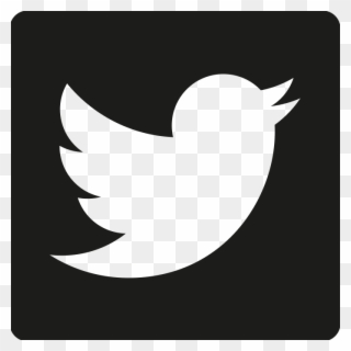 Ific App - Twitter Black Icon Png Clipart