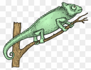 Free Lizard Clipart - Reptile - Png Download