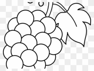 Grape Clipart Fruite - Grapes Clipart Black And White - Png Download
