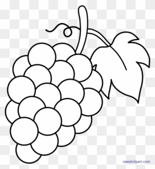 Grape Clipart Black And White - Grapes Clipart Black And White - Png Download
