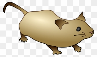 Open - Mouse Pooping Clipart