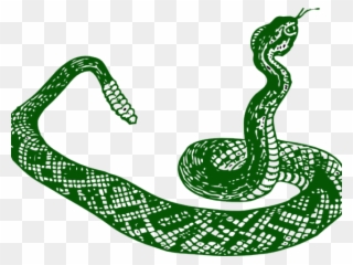 Popular Cliparts - Serpiente Blanco Y Negro - Png Download