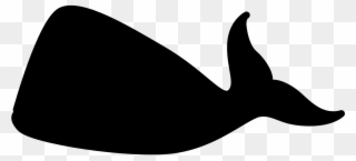 Whale, Mammal, Ocean, Silhouette, Black - Whale Black Clipart