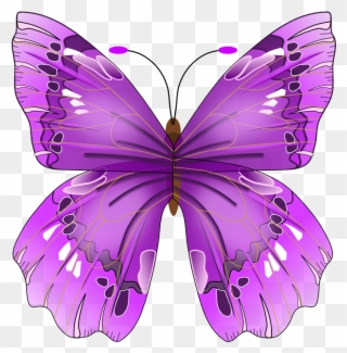 Awareness Butterfly Square Car Magnet 3" X 3" Clipart