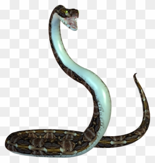 Png Photo, Clip Art, Animation, Animals, Pictures, - Transparent Background Snake Png