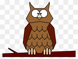 Animated Owls - Owl Clipart - Png Download