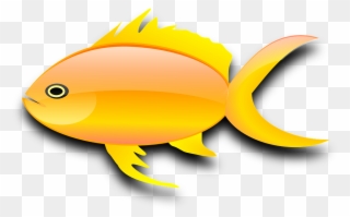 Gold Fish Clipart Gambar Ikan - Gold Fish Clip Art - Png Download