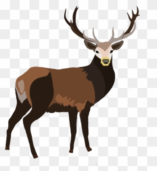 Stag Demi - Clipart