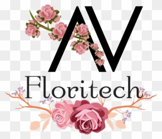 Rose Plants,rose Plant Supplier,rose Plant Exporter,flowers,flowers Clipart