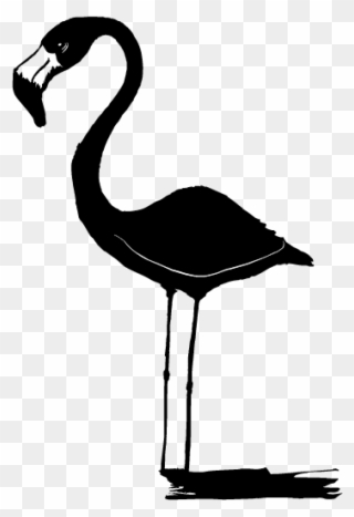 Logo Para Aitor Flamingos - Logo Clipart