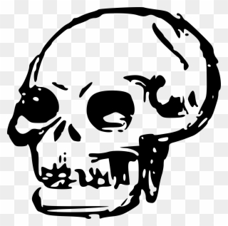 Skeleton Head Clipart Transparent - Skull Clipart - Png Download