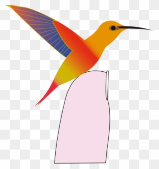 All Photo Png Clipart - Colorful Hummingbird King Duvet Transparent Png