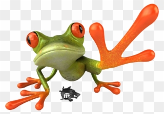 Red Eyed Tree Frog Clipart Transparent - Frog .png
