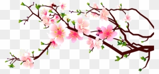 Cherry Blossom Peach Clip Art Decoration - Cherry Blossoms Clipart Free - Png Download