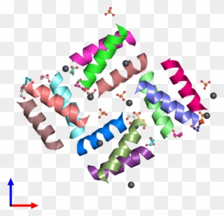 Pdb 1hqj Coloured By Chain And Viewed From The Front - Helix Loop Helix Motif Clipart