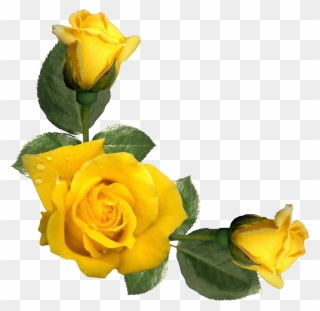 Yellow Roses Clipart - Yellow Rose Border Clipart - Png Download