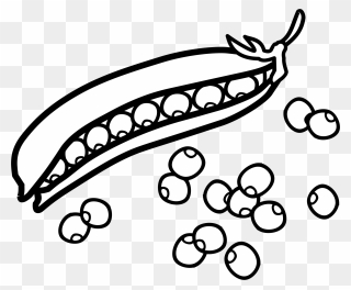Clip Art Transprent Png - Peas Black And White Clip Art Transparent Png