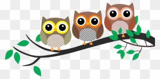 Owl In A Tree Clipart - Png Download