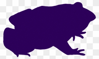 Amphibians - Hippopotamus Clipart