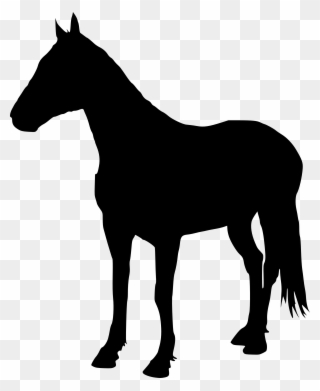 Clip Art Free Library Paint Horse Silhouette At Getdrawings - Horse Silhouette Transparent Png