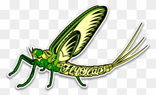 Fly Slaps Ornamented Green Drake Sticker - Sticker Clipart
