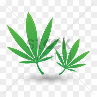 Hemp - Leaf Clipart