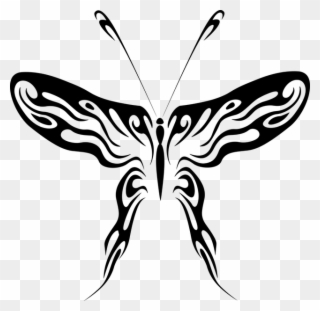 Abstract Butterfly Line Drawing Clipart