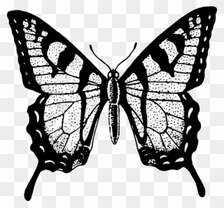 Single Flying Butterfly Clip Art Black - Black And White Butterfly Png ...