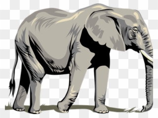 Tusk Clipart Asia Animal - Clip Art Png Elephant Transparent Png