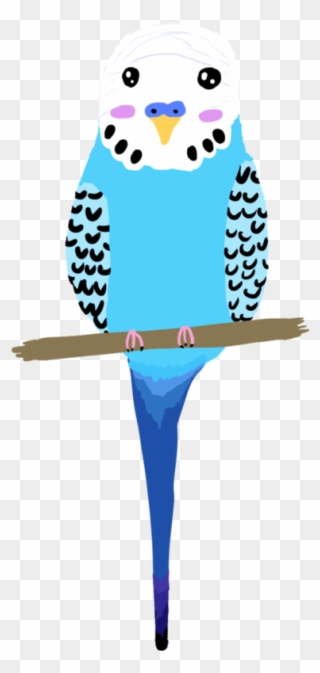 Interesting Use Of Colour And Shape For Budgie - Parakeet Clipart