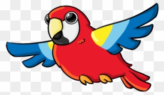 Parrot Clipart Free Cartoon - Bird Gross Motor Activities - Png Download