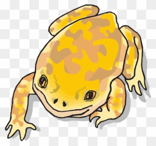 Jungle Clipart Frog - Yellow Cartoon Frog - Png Download