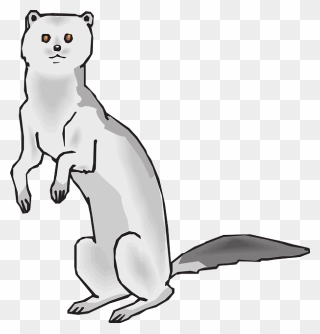 Mink Clipart Black And White - Png Download