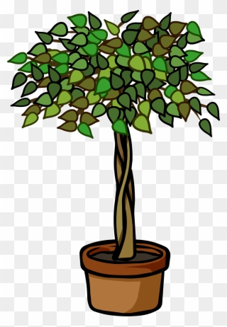 John Cena Clipart Plant - Ficus Tree Clip Art - Png Download