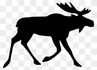 All Black Deer Drawings Clipart
