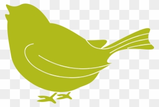 I Need Help With A Baby Bird Clipart
