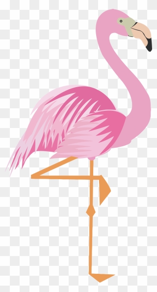 Flamingo Clip Cartoon - ฟ ลา มิ ง โก้ การ์ตูน - Png Download