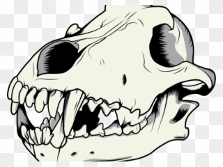 Mouth Clipart Wolf - Wolf Skull Transparent - Png Download