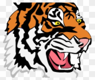 Mouth Clipart Tiger - Fenton Tigers - Png Download