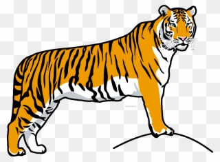 Tiiger Clipart Tiger Run - National Animal Of India Easy Drawing - Png Download