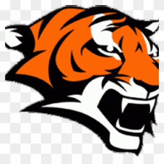 Board Marple Jr Tigers Football And Newtown - Andrew Jackson High School Logo Clipart