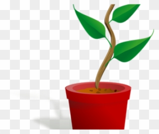 Potted Plants Clipart 3 Leaf - Getting To Know Plants - Png Download