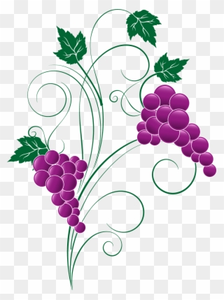 Png Transparent Free Images Only Image X - Grape Clipart